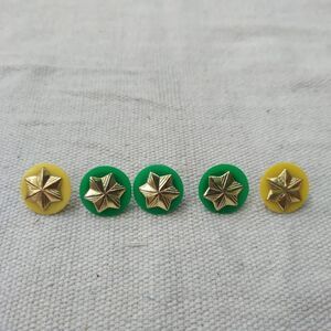 Girls scouts gold star pins 23